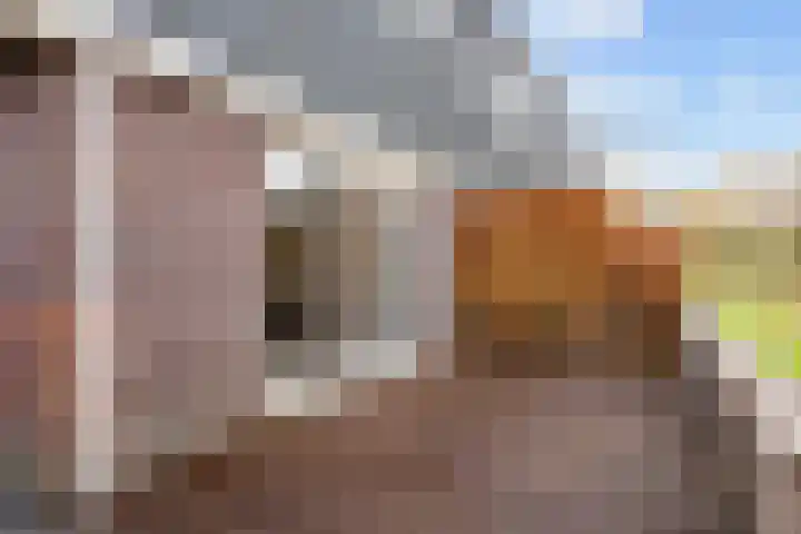 De Hartakker 12 Eelde thumbnail 42