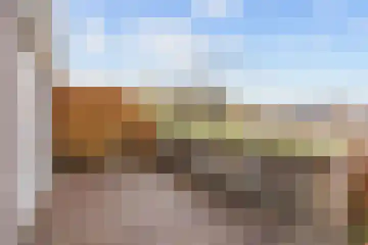 De Hartakker 12 Eelde thumbnail 43