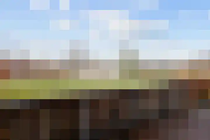 De Hartakker 12 Eelde thumbnail 45