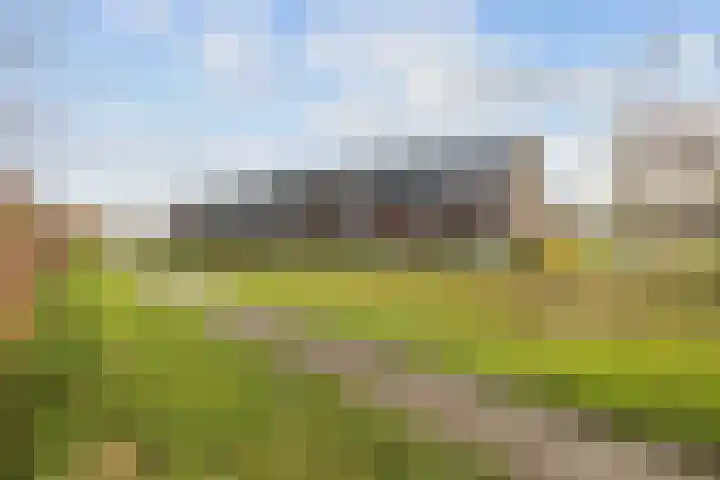 De Hartakker 12 Eelde thumbnail 48