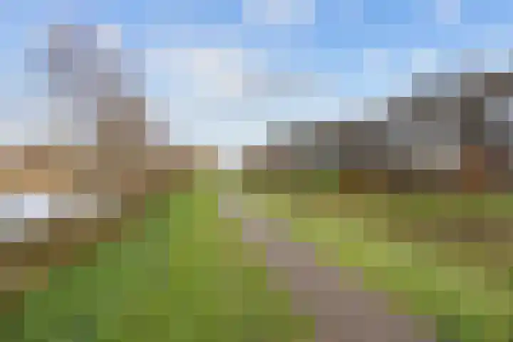 De Hartakker 12 Eelde thumbnail 49