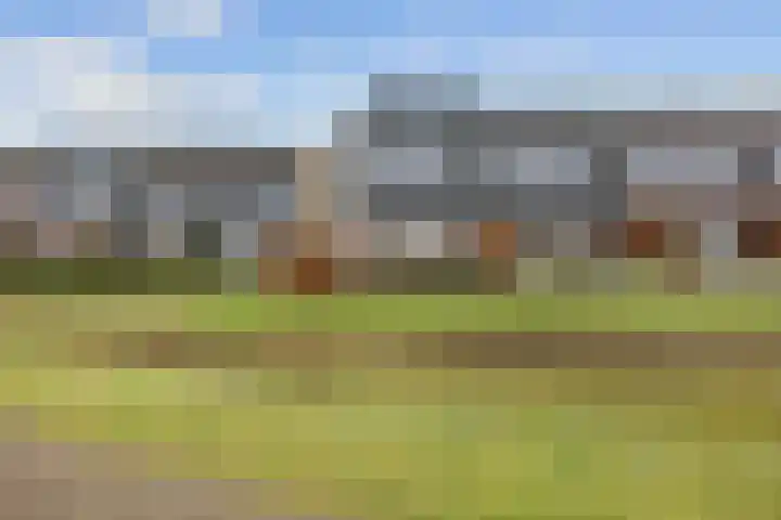 De Hartakker 12 Eelde thumbnail 50