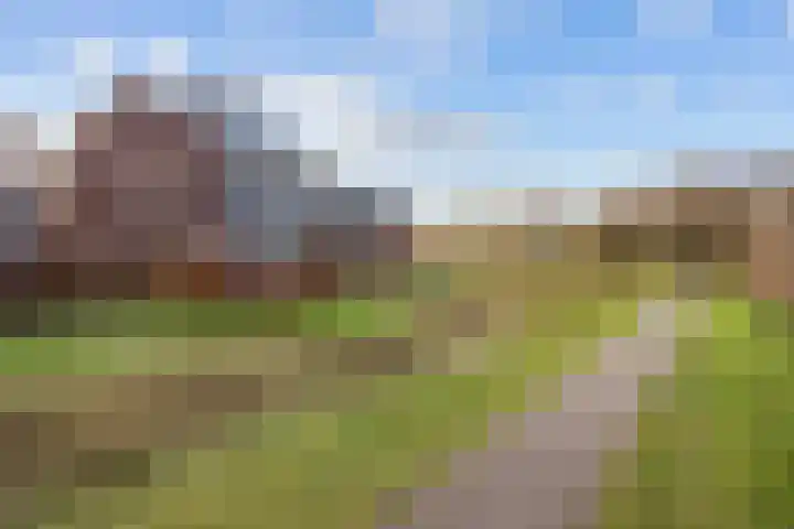 De Hartakker 12 Eelde thumbnail 52
