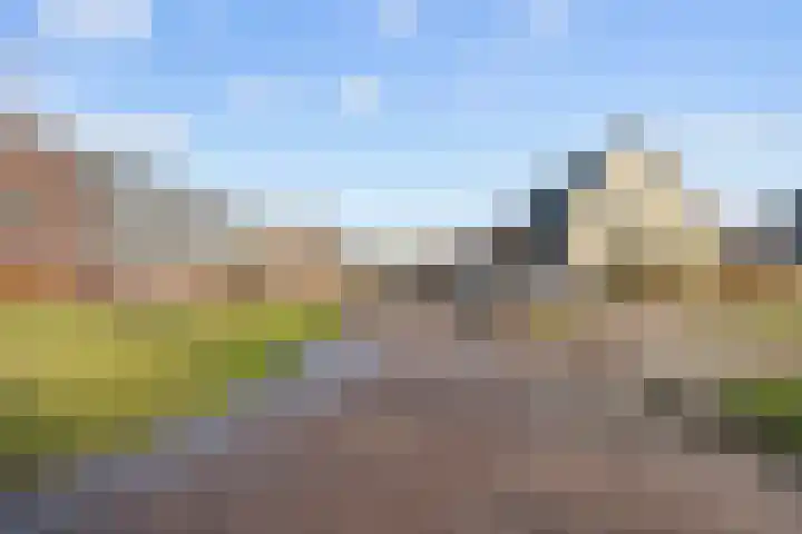 De Hartakker 12 Eelde thumbnail 53