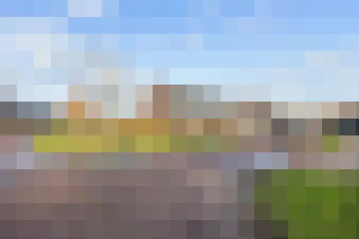 De Hartakker 12 Eelde thumbnail 54