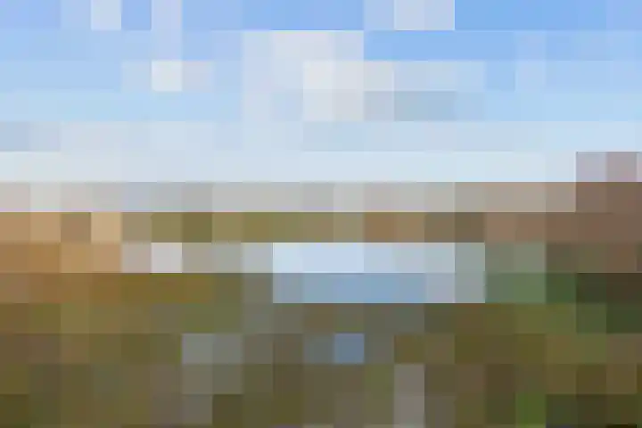 De Hartakker 12 Eelde thumbnail 55