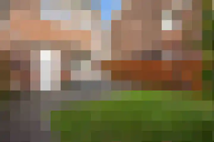 De Hartakker 12 Eelde thumbnail 6