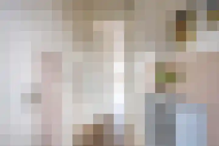 De Hartakker 12 Eelde thumbnail 8