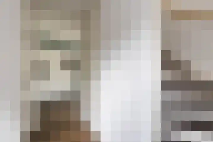 De Hartakker 13 Eelde thumbnail 10