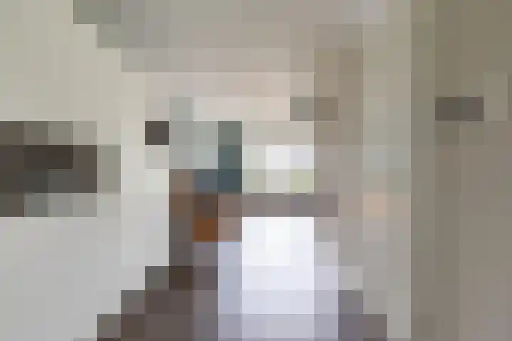 De Hartakker 13 Eelde thumbnail 11