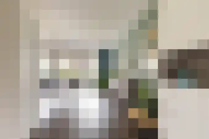 De Hartakker 13 Eelde thumbnail 16