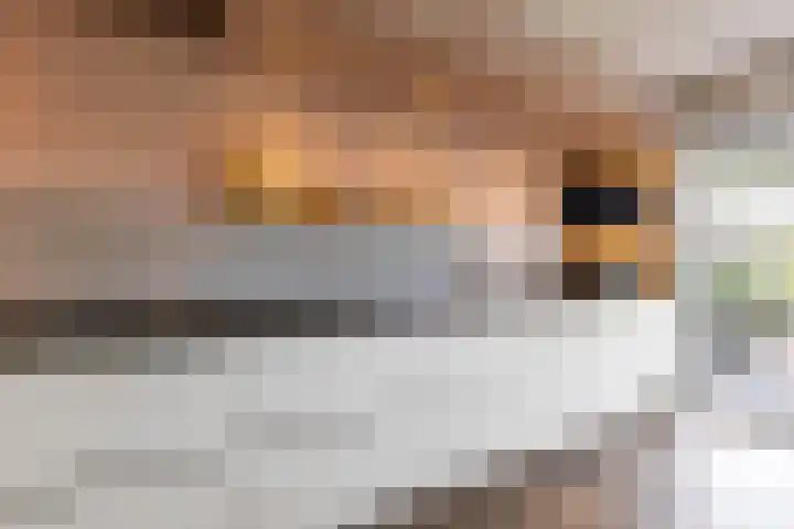 De Hartakker 13 Eelde thumbnail 19