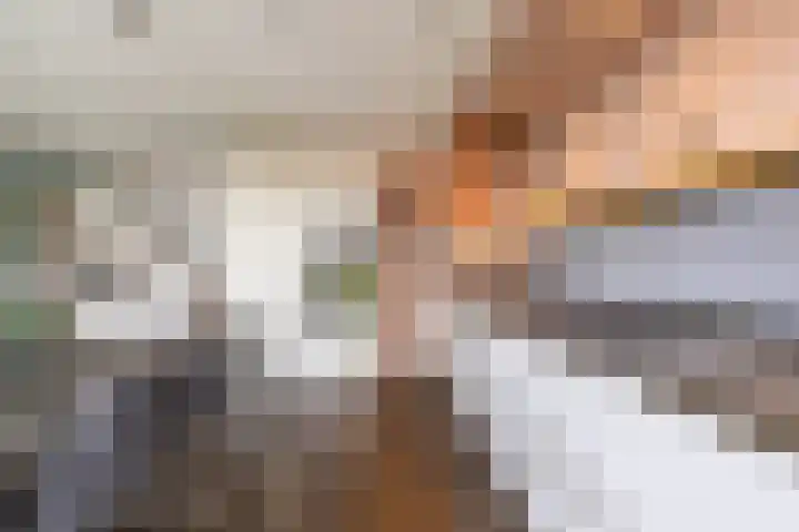 De Hartakker 13 Eelde thumbnail 22