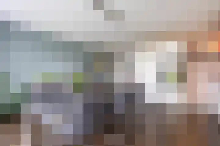 De Hartakker 13 Eelde thumbnail 23