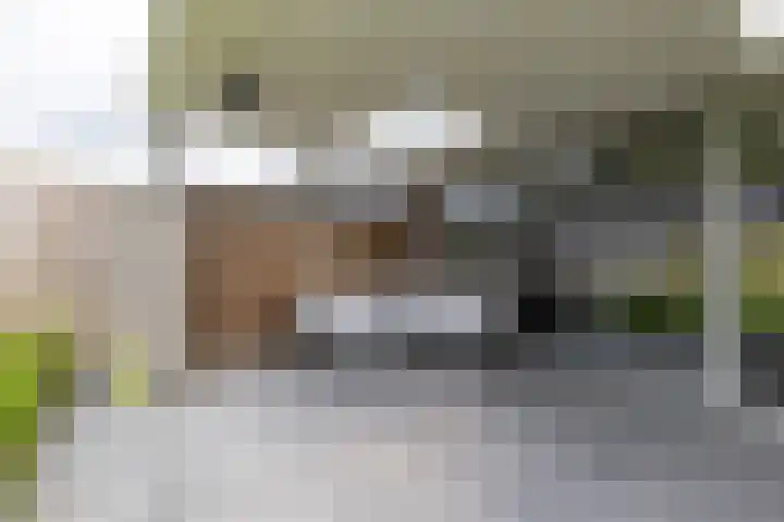 De Hartakker 13 Eelde thumbnail 24