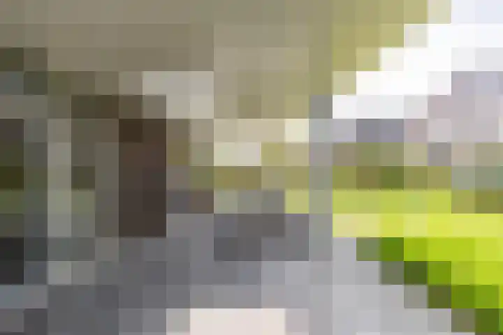 De Hartakker 13 Eelde thumbnail 25