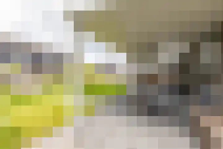 De Hartakker 13 Eelde thumbnail 27