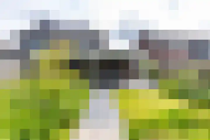 De Hartakker 13 Eelde thumbnail 28