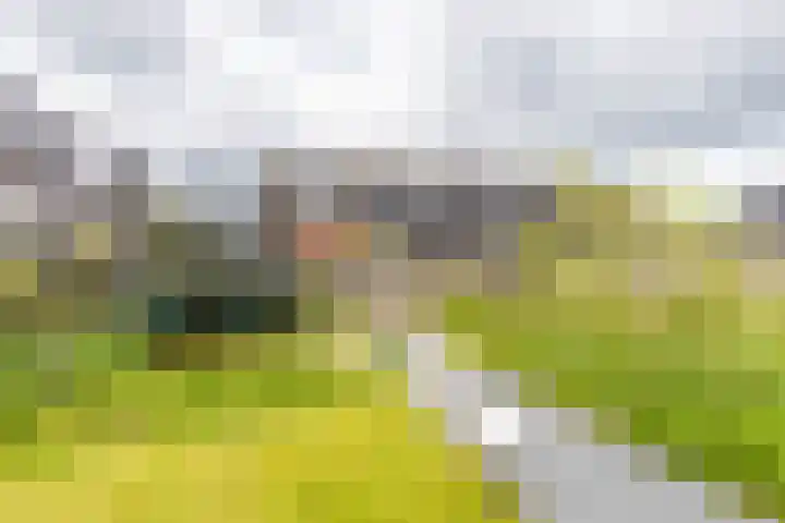 De Hartakker 13 Eelde thumbnail 29