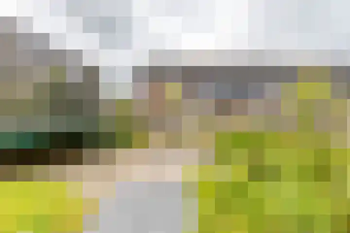 De Hartakker 13 Eelde thumbnail 30