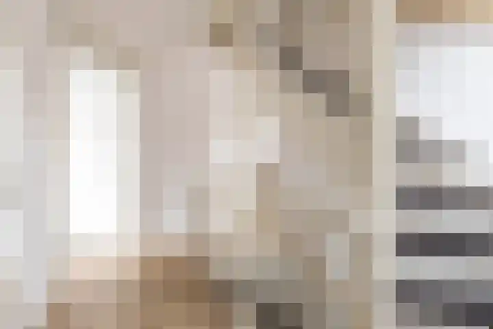 De Hartakker 13 Eelde thumbnail 32