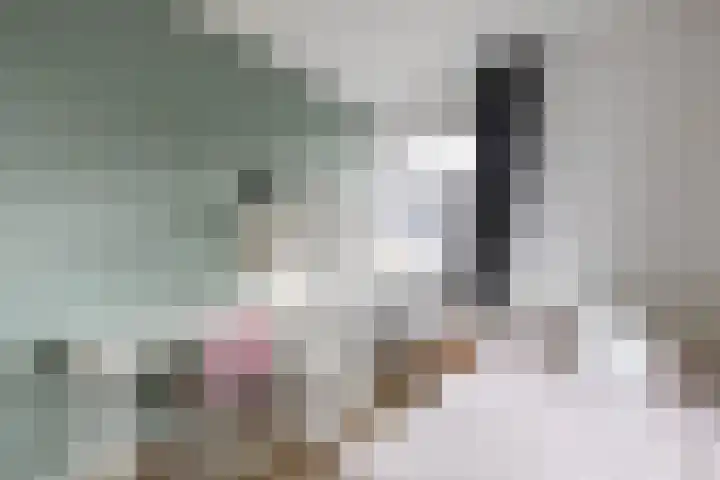 De Hartakker 13 Eelde thumbnail 34