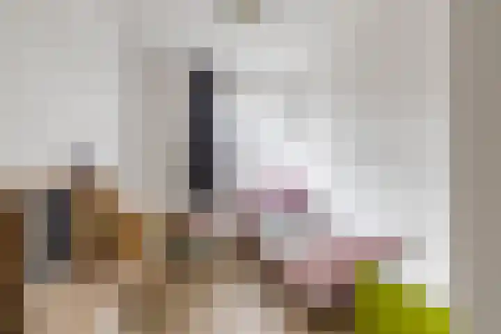 De Hartakker 13 Eelde thumbnail 36