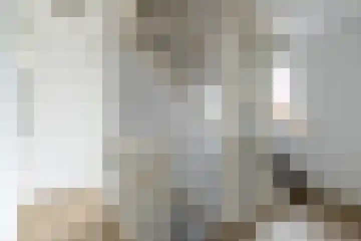 De Hartakker 13 Eelde thumbnail 43