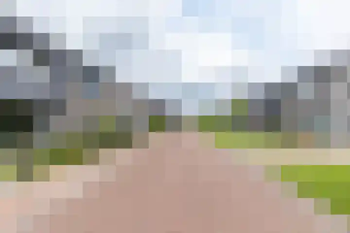 De Hartakker 13 Eelde thumbnail 49