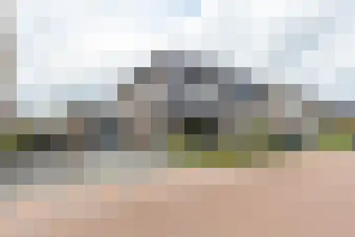 De Hartakker 13 Eelde thumbnail 5