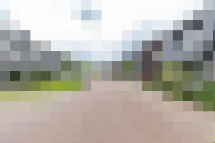 De Hartakker 13 Eelde thumbnail 50