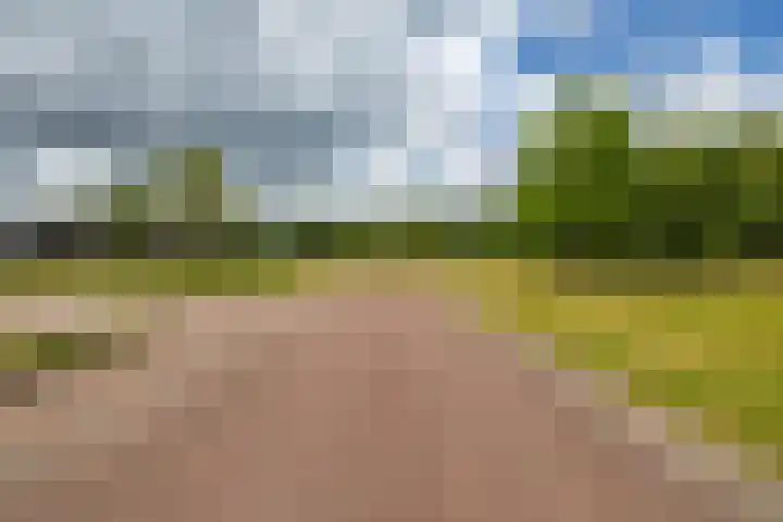 De Hartakker 13 Eelde thumbnail 51