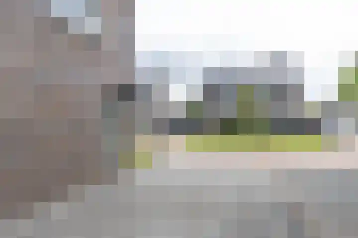 De Hartakker 13 Eelde thumbnail 8