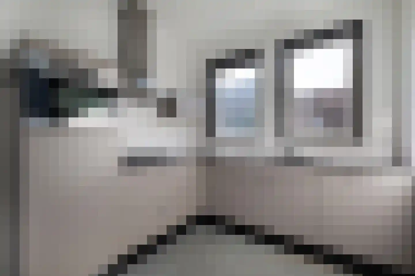 De Hartakker 14 Eelde thumbnail 17