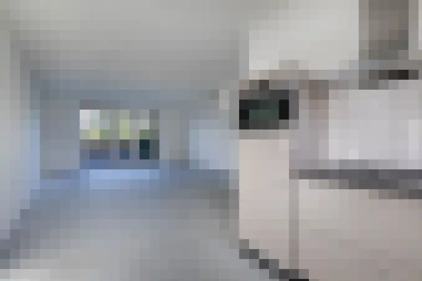 De Hartakker 14 Eelde thumbnail 18
