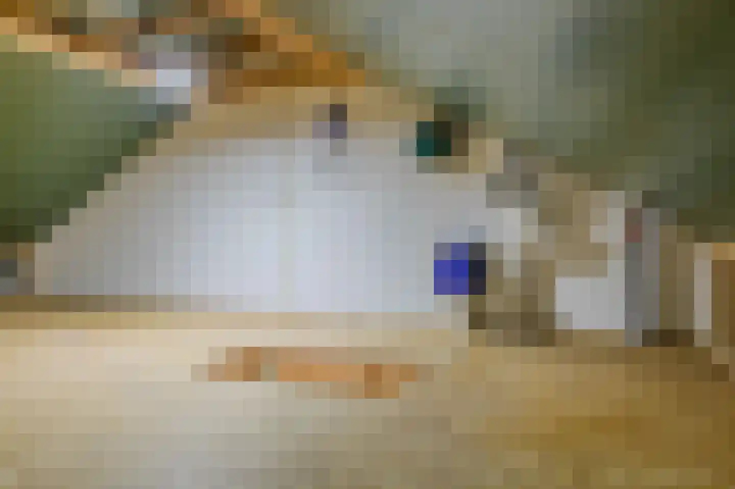 De Hartakker 14 Eelde thumbnail 27
