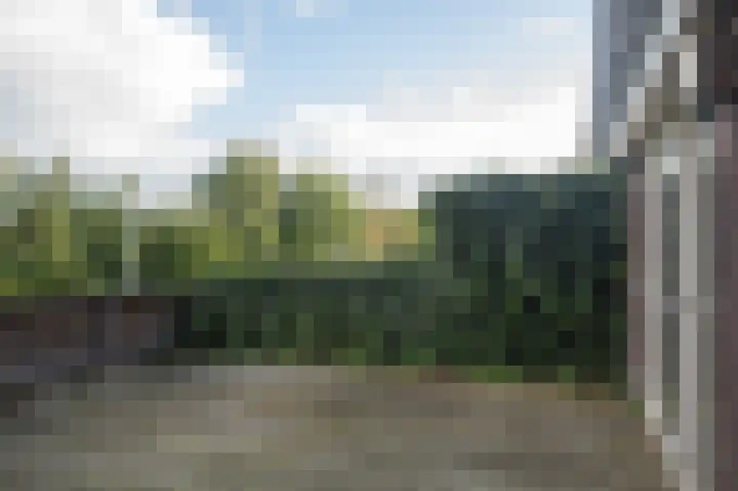 De Hartakker 14 Eelde thumbnail 29