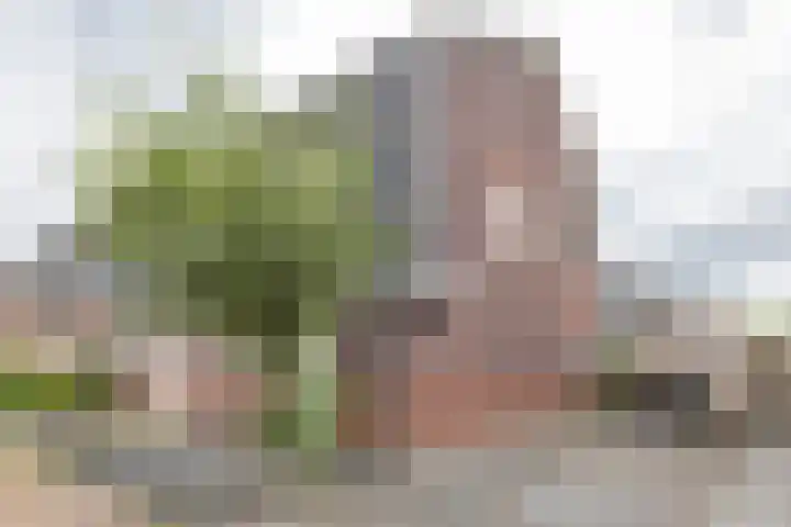 De Hartakker 15 Eelde