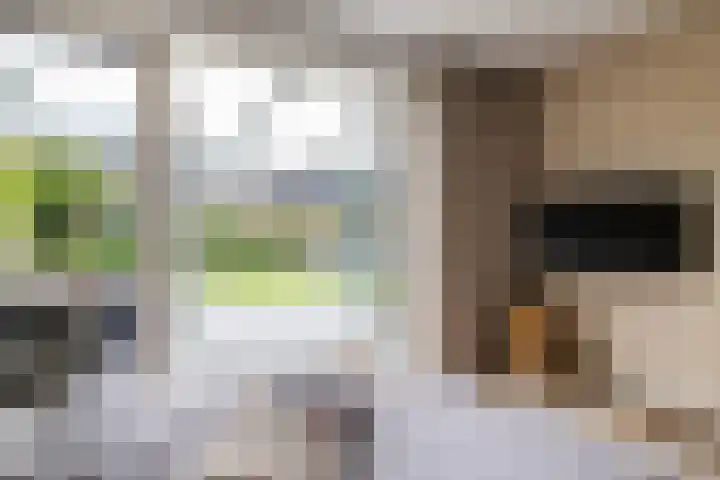 De Hartakker 15 Eelde thumbnail 15
