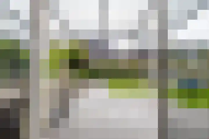 De Hartakker 15 Eelde thumbnail 16