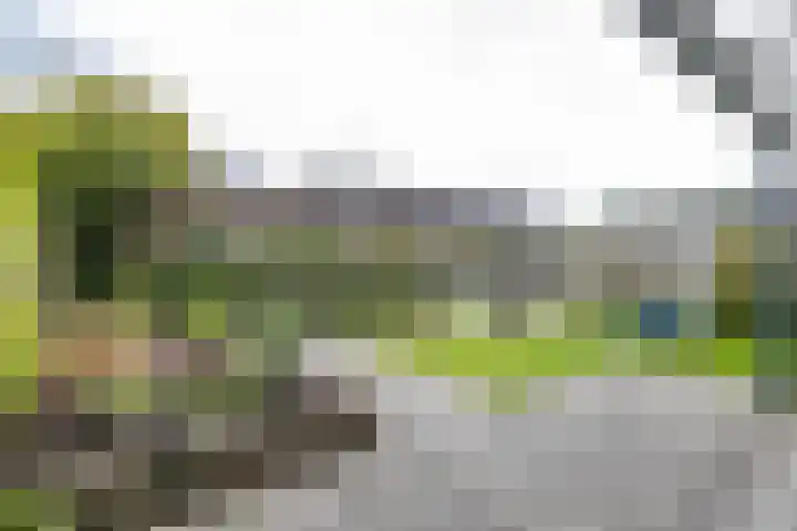 De Hartakker 15 Eelde thumbnail 17