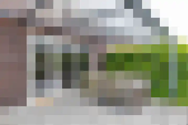 De Hartakker 15 Eelde thumbnail 21