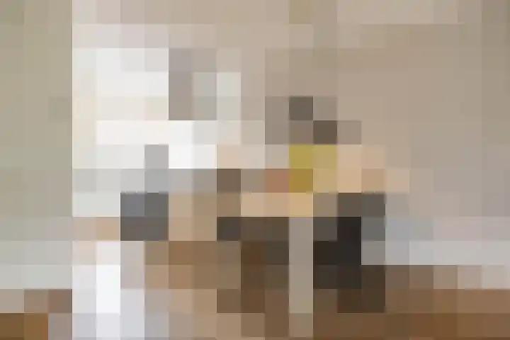De Hartakker 15 Eelde thumbnail 24