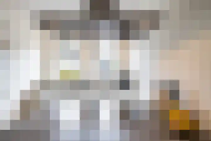 De Hartakker 15 Eelde thumbnail 26