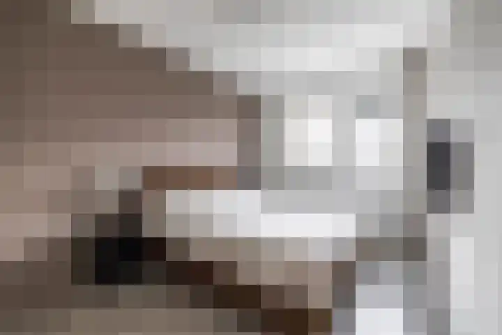 De Hartakker 15 Eelde thumbnail 35