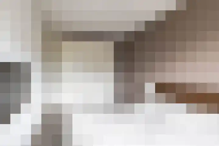 De Hartakker 15 Eelde thumbnail 36