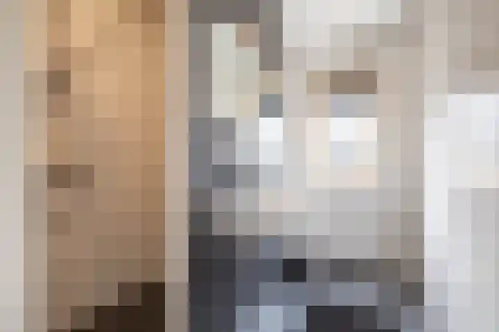 De Hartakker 15 Eelde thumbnail 4