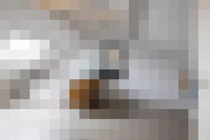 De Hartakker 15 Eelde thumbnail 41