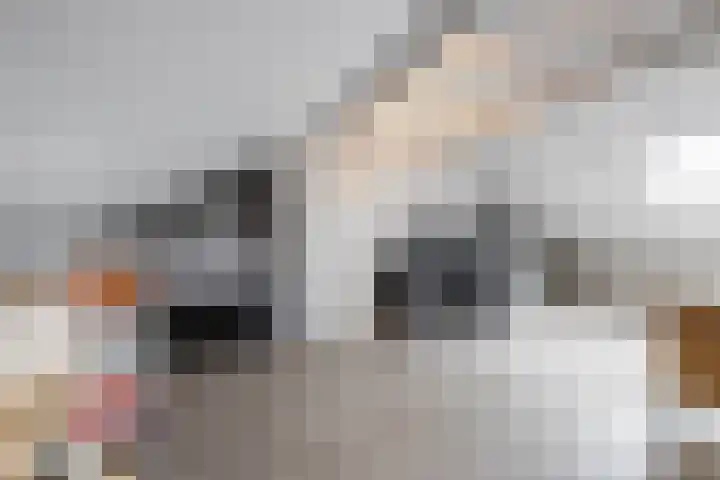 De Hartakker 15 Eelde thumbnail 42