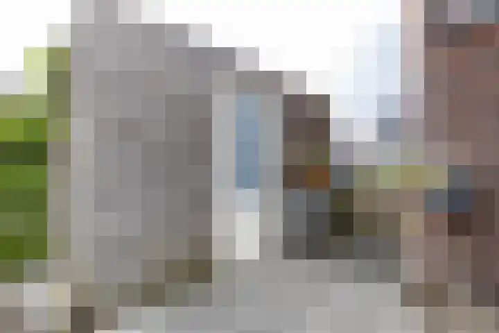 De Hartakker 15 Eelde thumbnail 46